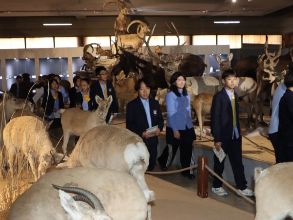 558229360_1199497048878977_2210852013466144285_n